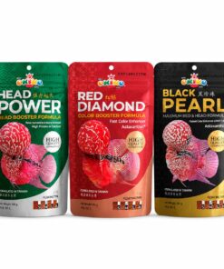 Okiko Yeni Seri 3’lü Yem Seti (Head Power + Red Diamond + Black Pearl)